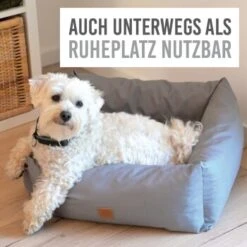 KaraLuna Autositz Kleine Hunde -KONG Verkäufe c43a66d74eef51b612eae7a548cb2b038009505b 1657442 de DE c74c72488e6718cfafbeff5d99ede07a37048260HkNpMo