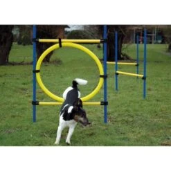 Dobar 3-teiliges Agility Sprung-Set,, Inkl. Tragetasche 8 Dobar 3-teiliges Agility Sprung-Set,, Inkl. Tragetasche -KONG Verkäufe c7c9dd298510f0bd74d586405ecbd396df04c759 313726f2dd166c5ec13855d4374275bbe5eeeeec