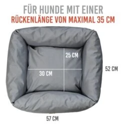 KaraLuna Autositz Kleine Hunde -KONG Verkäufe c82cd8c12e140ce6995549d71c3f6191f0cd0a3b 1657442 de DE 2f6495f9c0fdda14f345cfb639bb4bee62ece79aDXpHvs