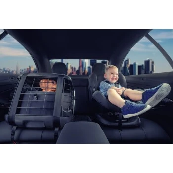 4pets Transportbox Caree Cool Grey 2 4pets Transportbox Caree Cool Grey – Bild 2