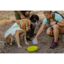 Ruffwear Camp Flyer™ Spielzeug Gelb -KONG Verkäufe c8632ab5dcb7f117d161f2b7fb858727c13ef058 1444349 de DE 9bd2d0959354d587a79f0fa1c0ca6a20d6eaaef7BFTUl1