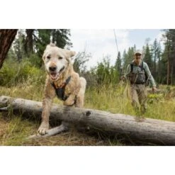 Ruffwear Brush Guard™ Geschirrzubehör S 20 Ruffwear Brush Guard™ Geschirrzubehör S -KONG Verkäufe c88704a120b1ecbe10b5759d1532c5876bf02eec 1651427 de DE 6693c5b56ae972b6dab2ef2f40458870105d43f0wwSvBk