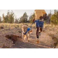 Ruffwear Trail Runner™ Leine 14 Ruffwear Trail Runner™ Leine -KONG Verkäufe caf2297a191491c28eeb3a22b1fdc7047bab611d 1651448 de DE fde7e85ea7aaab9a195c72c45a0c0b94c8c18aa1hyvWB4