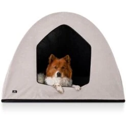 Knuffelwuff Hundehöhle Yucatan Passend Für Hundebetten Und Hundematten Beige M-L -KONG Verkäufe cc00abde1e77370542a3e519e8ee89064d499f4e 1476878 de DE 8a0fa45fcf2c76087919ab8270798d210e46ec8c9FGirA