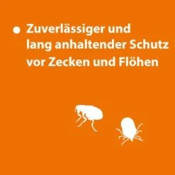 Ardap Spot-On Für Hunde M -KONG Verkäufe ce2959b1e1be923f1af3be0cd5f5d2424ae41659 1150898 de DE 123c08947d68d259b6ba6ec3ce1852e52370e4d7CGAnSw