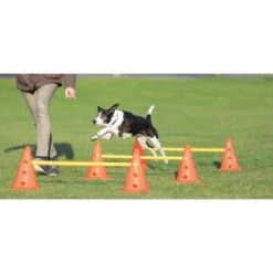 Trixie Dog Activity Hindernisse Ø23x30cm -KONG Verkäufe cf5032631aac0df221da4281f2bf49a2321f1aa1 1287032 de DE Trixie Hindernisse wb 1