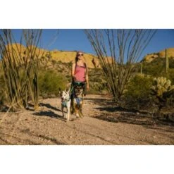 Ruffwear Swamp Cooler™ Geschirr Violett L-XL -KONG Verkäufe d0abc349a10811bbd05c0fc614d96cb63a2f0613 1651453 de DE 00efb9f982076af20ddde1a707f7830a11c8e752c0zjBr