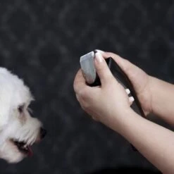 Moser Schermaschine Arco Pro -KONG Verkäufe d1c65d2d167a6d8fa4a6793a53ee3362d025451e ecb090312fbe9e8eac9c719cb575336bebaad472