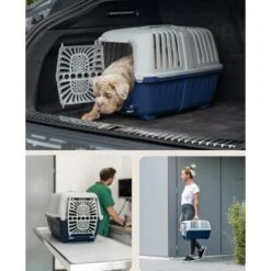 Lionto Transportbox Aus Plastik Dunkelblau S -KONG Verkäufe d364b75af76fad3c0fec93f6ca004d6da24c4c4e 1657970 de DE 5fce1ea0239c94df7b5030ce7f0031e44a065aad0cy4Ox