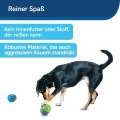 PetSafe Elektronisches Hundespielzeug Ricochet -KONG Verkäufe d4449f153a2c132dbacdcffdb9e5bd1534d39124 1418724 de DE f83cfc689e8023f0b85b6eeadf79a2629df4d4f153I9wY
