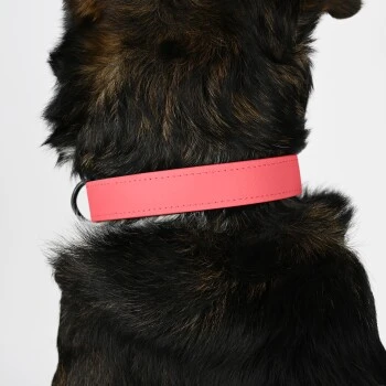 THE DOG IDEA Biothane Halsband Coral Koralle M 2 THE DOG IDEA Biothane Halsband Coral Koralle M – Bild 2