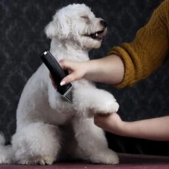 Moser Schermaschine Arco Pro -KONG Verkäufe d94979d61f2023cf0118c8257a8bd4066fa8858b ed4a0b808fc43743a84927566ac43a708eadd5ba