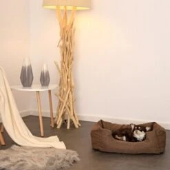 Lionto Hundebett Mit Wendekissen Meliert S 10 Lionto Hundebett Mit Wendekissen Meliert S -KONG Verkäufe da1652eacbf064171e9e0e9da4ceba9377d5ea08 1657960 de DE 656337e4d1290a59374f1992093789c3e8808553mhNhLE