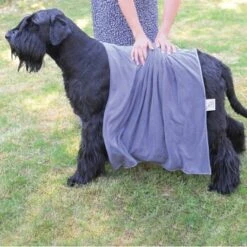 KaraLuna Handtuch Set Für Hunde M 8 KaraLuna Handtuch Set Für Hunde M -KONG Verkäufe daa9872ad167963b0275bc9a4b32ce8612bda158 1678965 de DE 4740763b3e74033b400afa4887ecb42f072a686frtAhbI