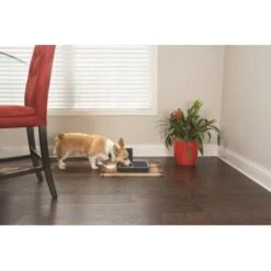 PetSafe Digitaler Futterautomat Für 2 Mahlzeiten -KONG Verkäufe dd3fb1748ad72abb1dbd97f6f077b00bb4d76d05 1291255 de DE cf72a75b3fd4f7fd8b7e51ea368585b22239110fFJga5O