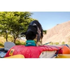 Ruffwear Quencher Cinch Top™ Napf Entenbraun L -KONG Verkäufe df197a6c445450bb54a7125228576f8ed451a732 1651468 de DE 67523b8ea2ac742cc532b3a918296d4da6320d17DcdUdX