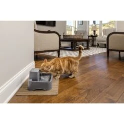 PetSafe Trinkbrunnen 1,8 L -KONG Verkäufe df488cf045110a6e0d24fcded3d81de07583d88a 1323706 7