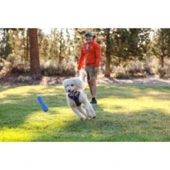 Ruffwear Gourdo™ Spielzeug L Violett -KONG Verkäufe e0043bb37798e694605eafae31f43ab1b08a1b0e 1639892 de DE 14d32b95607116f791fa89977cce0163703631adnlxQik