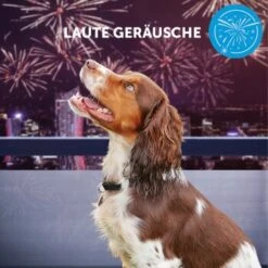 ADAPTIL Calm Halsband Anti Stress Erziehungshalsband S-M -KONG Verkäufe e065c94a1eadac38177e4f3120e975f32282355e 1204441 10