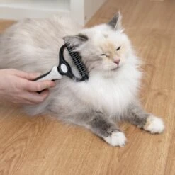 KaraLuna Unterfellbürste 11 KaraLuna Unterfellbürste -KONG Verkäufe e0e7f4b3ef49c70421b21094c2615519c93a1a3e 1407475 de DE 78030a6cd3af146aa7eb3f83fa2322b52c78816a2jpF0U