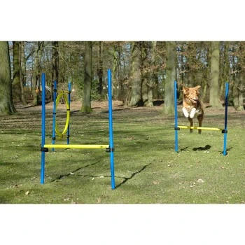 Dobar 3-teiliges Agility Sprung-Set,, Inkl. Tragetasche 2 Dobar 3-teiliges Agility Sprung-Set,, Inkl. Tragetasche – Bild 2