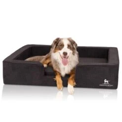 Knuffelwuff Orthopädisches Hundebett Mit Wendekissen Aus Velours Bellamy Schwarz M-L 9 Knuffelwuff Orthopädisches Hundebett Mit Wendekissen Aus Velours Bellamy Schwarz M-L -KONG Verkäufe e3b7bc46ae320ad688559fbe65b93d653050af29 1412229 de DE a8fed7047a4b2b7c518b9afe1b1b115d3d9d2c8emVyF8X