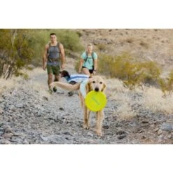 Ruffwear Camp Flyer™ Spielzeug Gelb -KONG Verkäufe e4a37a6a829a29e9ccf8cc78751e0fdb21b1f16a 1444349 de DE aecf8c0098a10a43cb5986118c66a87955de58baPHiPKl