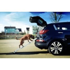 4pets Rampe EasySteps -KONG Verkäufe e900a968d8a04ba612530fdd36c5aa69f2fcdb42 13c5bbebb6d2cdec433b668e9fb0bd46dd6f4298