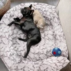 Wallace & Jones Hundebett Cordo-Heaven S -KONG Verkäufe e93a1c7230d5e68bce6327ea17899707386bce88 1449008 de DE cd9be4db759cf7be03c3a1803409c0da67c4816eifOskb