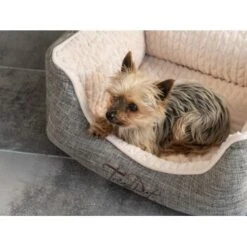 TrendPet VitaBed Classic Orthopädisches Hundebett Beige S -KONG Verkäufe e9c4b8b04715aa9a0805f554870b41f4b66dff08 1312262 de DE 149707f9692d822bfb2866d578db217fa49558ddkusmtz