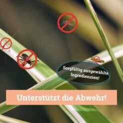 BeG Buddy Fellspray Zecke -KONG Verkäufe eb1ff1dcbcf1fb99bdfd79e45920199bae4b6f63 1457254 de DE 287d7d393bbc4424a21afe4f14bbe46350e68dd0MNLxrc