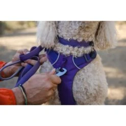 Ruffwear Front Range™ Leine Violett -KONG Verkäufe eb2f9759d53ffaaebfe530ff03ce98c7a48a56d1 1651455 de DE 2df17f72915d6716e32ef884f8fc79995debc11eCsj6N1