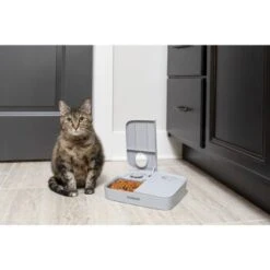 PetSafe Futterautomat Für 2 Mahlzeiten -KONG Verkäufe ecfa45428902a757dc7016a44357eeb1f8b25a89 1343837 6