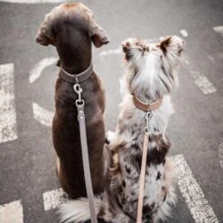 Freudentier Führleine Aus Leder Braun/ Grau 2 Cm -KONG Verkäufe ed7363242b5af0aeac560375765364d8d1a9d7ca 1421435 de DE d40365deffc471619a8891f2d10bbb6785191840MHr5Vx