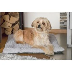 TrendPet Heaven Gefütterte Liegedecke XS -KONG Verkäufe eeac72893e6fc1692791e5ac1c12acc1251b66a9 1288886 de DE 56c51deb9c92a13851c57b095620f42ccef1f493aZKJBW