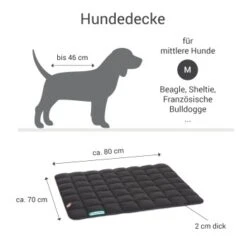 Doctor Bark Wendedecke Grau/ Grün M -KONG Verkäufe f37d437477881c255ec90090ee372f1d081c4491 1658163 de DE b3ed02c8f74e1b928f471e3e08fbb592b48c64bbcRukfl