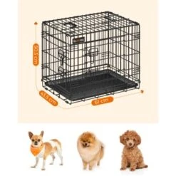 FEANDREA XL Hundekäfig Mit 2 Türen 61 Cm, 43,5 Cm, 50,5 Cm -KONG Verkäufe f39a223dcfee0b93d99a60d5f981d320988d461d 1500918 de DE cad413292bf18065030c4ea939fbb434e2d88350KxWICR