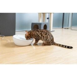 AniOne Keramik-Trinkbrunnen Waterfall Weiß Ohne Ersatzfilter -KONG Verkäufe f5666e2f535275128e81462f19991e450c3d3f87 c66954489332ac4ff326811e24559ef9b2854fac