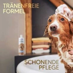 Pawlie's Welpenshampoo -KONG Verkäufe f56801adb1bee6d0b5fdd328d641fa773ce5d4c4 1626204 de DE 7b87b87a2e48e8c0e12b98c918c4d75b538aae40E5TfEc