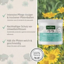 Aniforte Pfotenschutz Balsam 120ml Sommer & Winter -KONG Verkäufe f6352728d2d295839a5f9bac2123e02ea5cfd66d 1480491 de DE b4b6382b0452d366b3ffc33798d9e5be379c6ee9yrOk4E