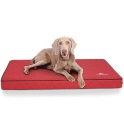 Knuffelwuff Orthopädische Hundematte Juna Aus Laser-gestepptem Kunstleder Rot L -KONG Verkäufe f8b9acde67bbc991a3791bba8cbd6c17097f2504 1411845 de DE 72b49e96d0fc008afacc20cc3236e69e758dd290NyBtW7