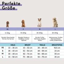 STUCH Geschirr Hund Gepolstert Schwarz XS -KONG Verkäufe faead16826f5716adb76ac8b6986319f92d9537c 1410595 de DE c7d10043cfc3a8cb4000a14b28c9e8ccaa90c0d7I1BbrZ