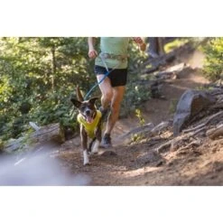 Ruffwear Trail Runner™ Leine 19 Ruffwear Trail Runner™ Leine -KONG Verkäufe fd7d3d8f2faefaea1b25b1fb658e0a571fc3fec8 1651448 de DE 059aee675e2089a3f3904e6bcb227b6b71f8e4a2YMTgrx