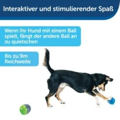 PetSafe Elektronisches Hundespielzeug Ricochet -KONG Verkäufe fde7c0cc07cd70611ca47b65ddae3e632f160d94 1418724 de DE 4f6e4953c50827cae26a42d6d5890e56447a49a4XQHEwC