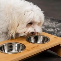 Lionto Erhöhte Futterstation Aus Bambus Braun/ Silber S -KONG Verkäufe ff2eba128a0d6b75a70cc824dc213b8dd85d734a 1665921 de DE e23b5a688ebe67bbe1f23e079b16083d61ef18cdlFh9kV