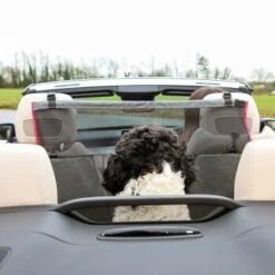 KONG Vordersitzbarriere 12 KONG Vordersitzbarriere -KONG Verkäufe ff5dbde9995c56c34bbe7bc5016592f3adbb7bc3 2f73ce2132082534f311b2977a78cc14a0a72f3e