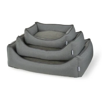 KONG Verkäufe -KONG Verkäufe 9462199919efced9d1cee9b29504ce0e15b64d99 1348222 de DE anione liegeplatz main